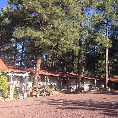 Mountain Haven Inn Pinetop-Lakeside Dış mekan fotoğraf