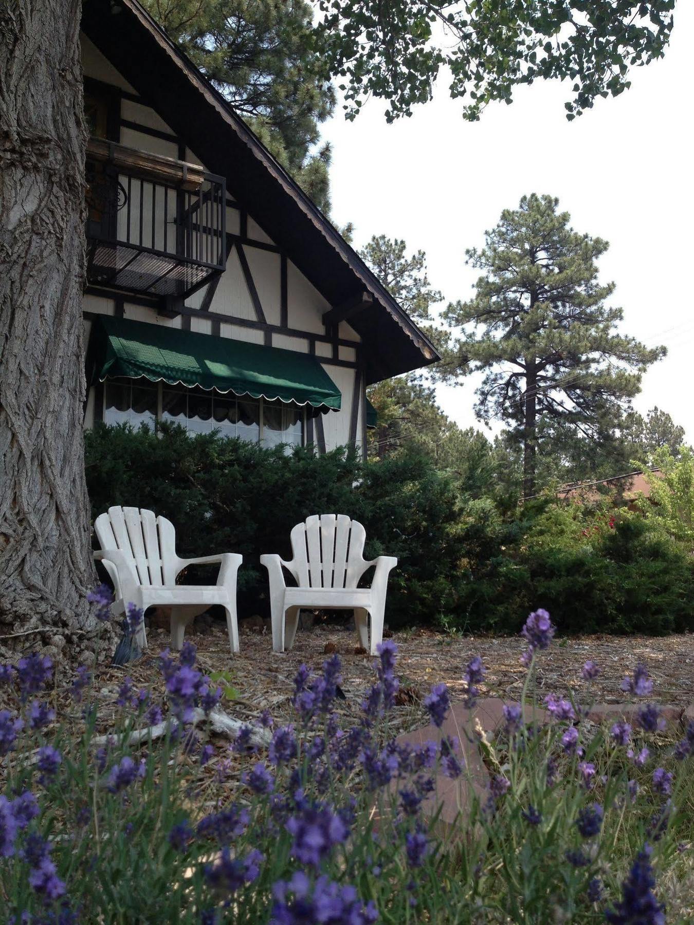 Mountain Haven Inn Pinetop-Lakeside Dış mekan fotoğraf