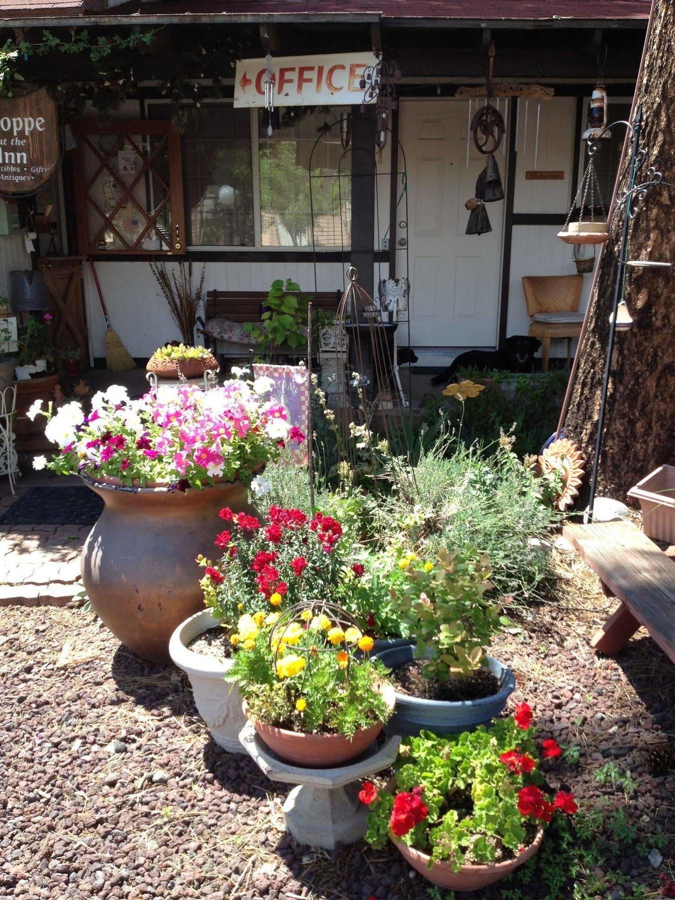 Mountain Haven Inn Pinetop-Lakeside Dış mekan fotoğraf